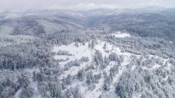冬天无人机飞越雪山冬季景观松林芬兰针叶林自然户外