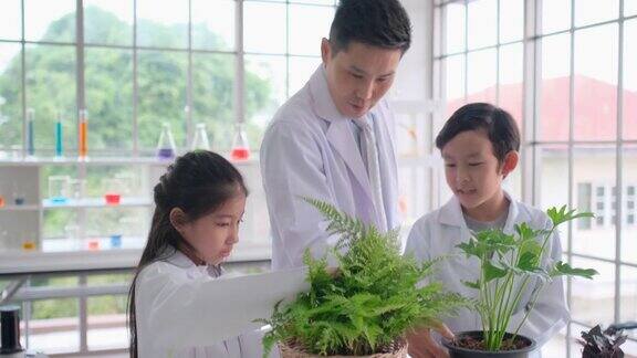 教师讲解盆中绿色植物的生长展示环境知识