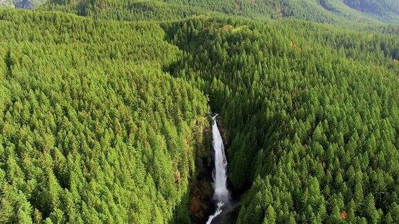 雄伟的瀑布在森林山地景观深处