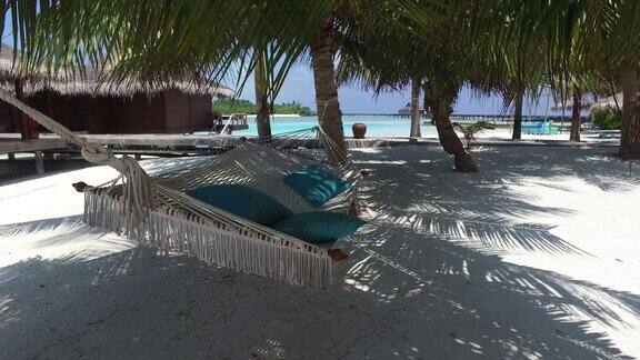 热带海滩上棕榈树之间的吊床