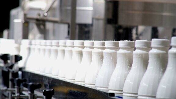 白色塑料奶瓶的镜头在生产线上分类和前进在牛奶公司