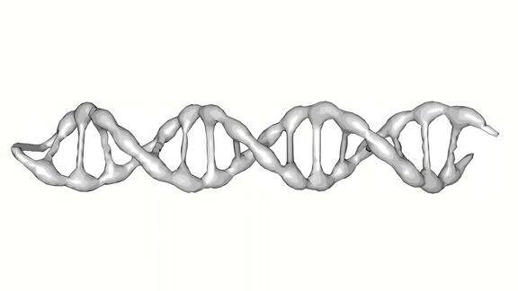 白色背景上的DNA分子动画3d渲染生物技术、生物化学、遗传学和医学概念DNA链