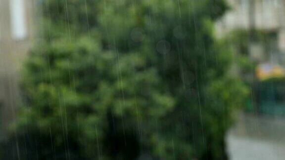 雨滴落在窗户上