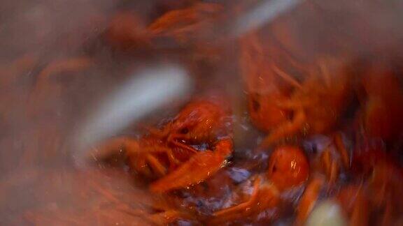 在平底锅上拍摄红煮小龙虾的特写镜头