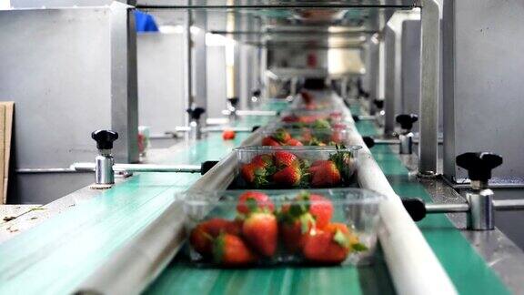 塑料容器包装草莓水果的自动化生产线