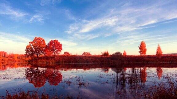 惊人的日出在秋天的森林湖专业的时间流逝