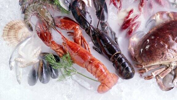 4K超高清手持顶视图:各种豪华新鲜海鲜龙虾鲑鱼鲭小龙虾虾章鱼贻贝和扇贝在冰背景与冰冻的冰烟新鲜冷冻海鲜冰和零售市场概念