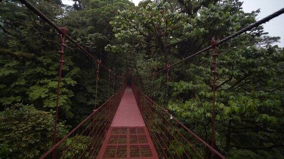 丛林吊桥