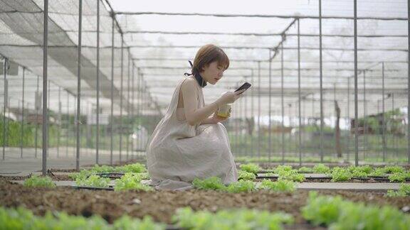 一个女人用智能手机观看有机蔬菜的视频
