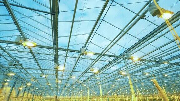 温室内安装照明系统