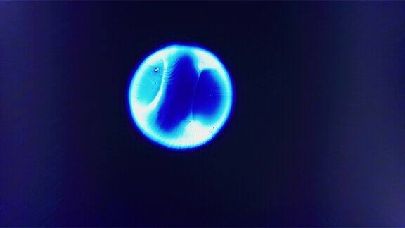两个蓝色的细胞液滴漂浮在空间合并背景