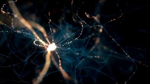 神经元电脉冲