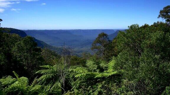 澳大利亚新南威尔士州蓝山