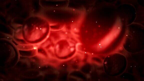 动脉内红细胞的显微镜观察