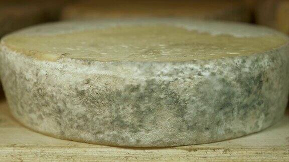 奶酪制作木质架子上成熟的奶酪