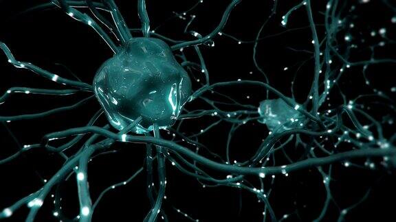具有突触的人类神经元神经网络