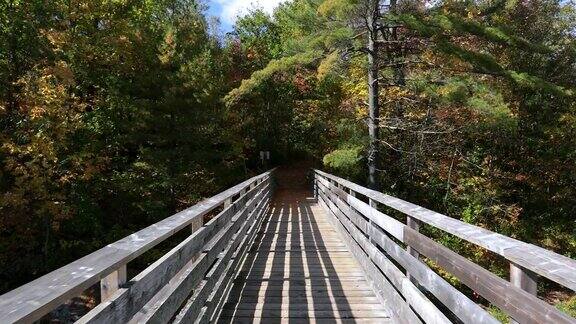 秋天森林中的急流桥