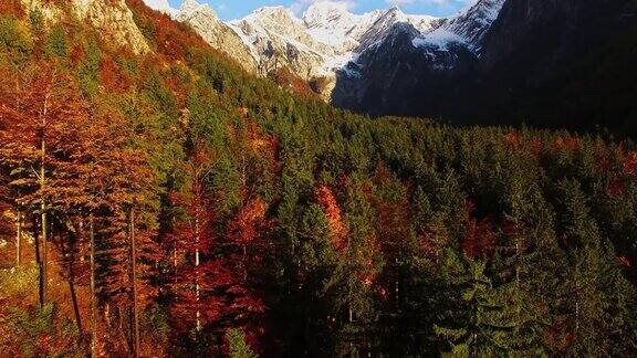 Kamnik-Savinja阿尔卑斯山的空中秋季森林