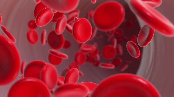 红血球在血管中流动