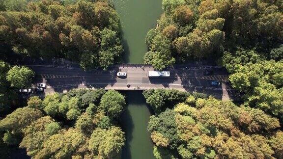 航拍的道路通过湖泊和树木地区