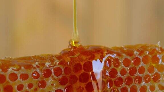 金色的蜂蜜滴用木棒