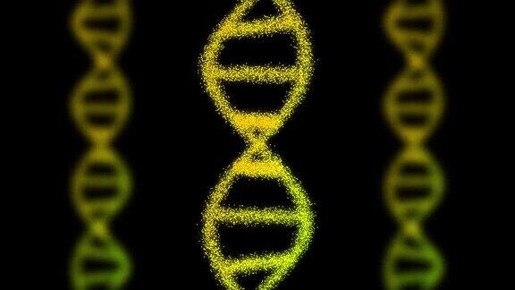 3个由粒子组成的DNA在黑色背景上的2D动画60fps物体是垂直的