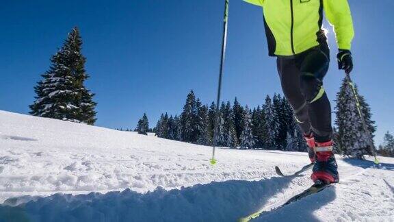 越野滑雪者在一个阳光明媚的日子在一个冬季景观