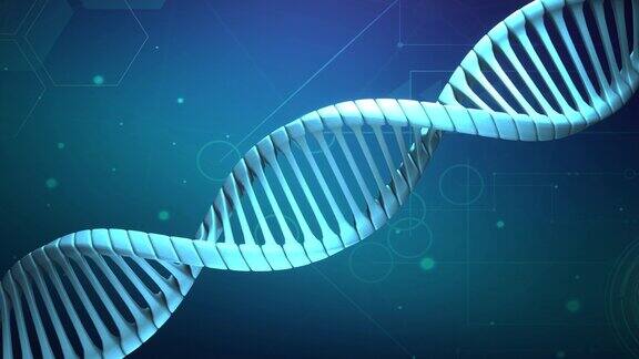 模型抽象DNA三维渲染动画在深蓝色的背景蓝色发光旋转DNA双螺旋科学和医学概念无缝循环背景遗传信息的设计