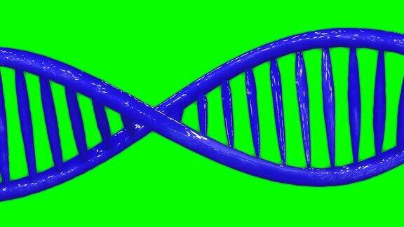 蓝色DNA双螺旋基因模型动画