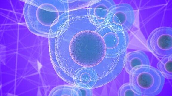 胚胎干细胞的生物学研究和医学3D渲染的使用
