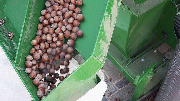 榛子仁壳分离机专业用于坚果壳与种子、果仁的分离如杏仁、榛子、核桃慢动作