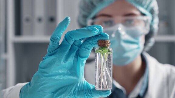 博士研究员实验室助理拿着一个试管烧瓶生长的有机绿色产品