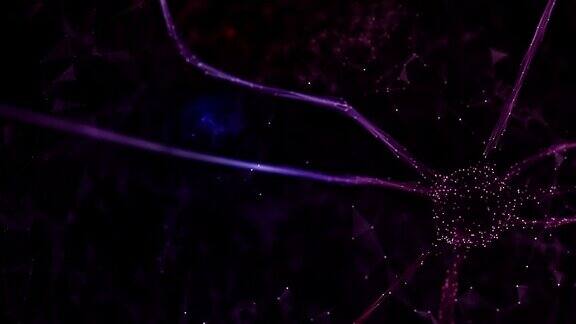 三维神经元细胞在大脑中闪烁变化的颜色