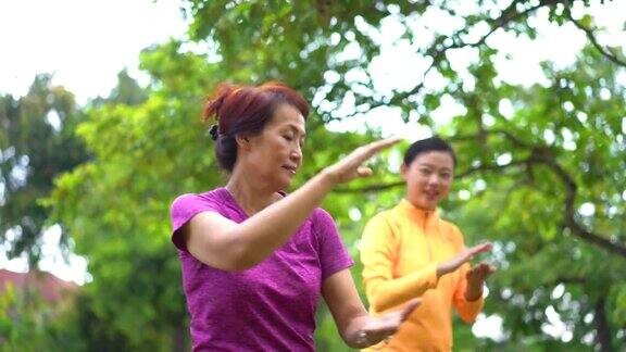 亚洲华人母亲女儿在公园练习太极