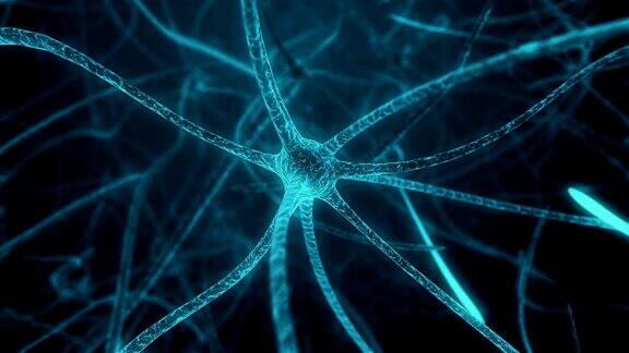 神经元性人体组织神经元细胞中突触过程中的神经元