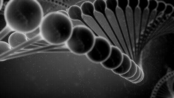 黑白DNA串