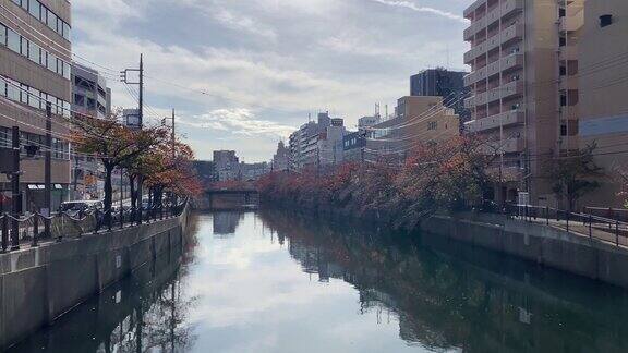 横滨最好的风景