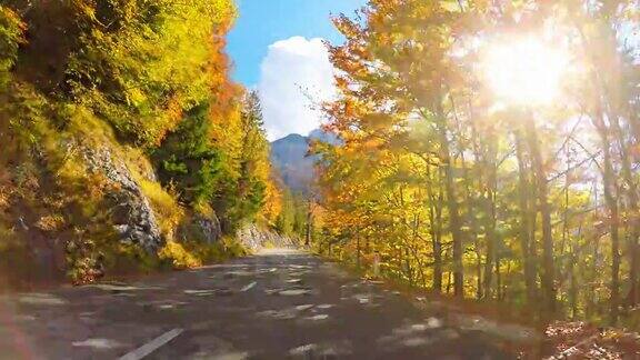 行驶在风景优美的道路上穿过秋天的森林阳光照耀着五颜六色的树叶