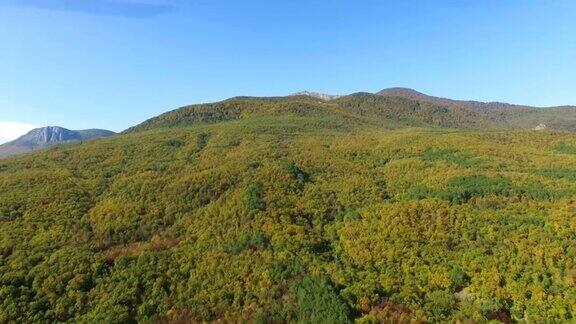 天线:山上五颜六色的秋林