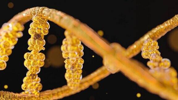 从粒子中提取金DNA分子设计在高级血统或稀有物种