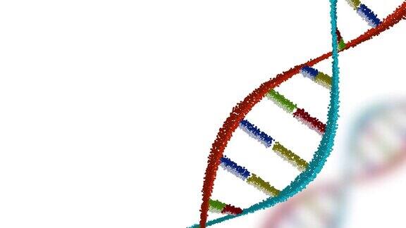 白色背景上带有复制空间的DNA结构脱氧核糖核酸旋转螺旋分子基因遗传和生物学教育4K视频