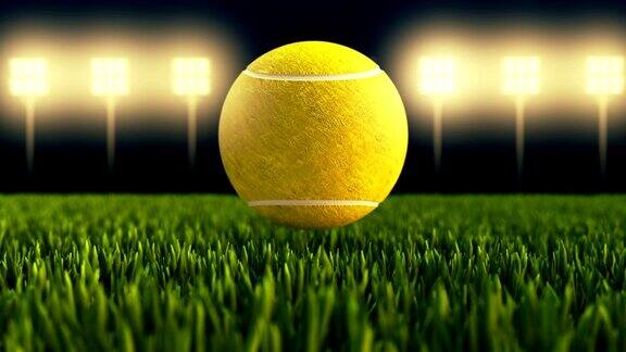 网球在网球草地上弹起特写镜头运动动画