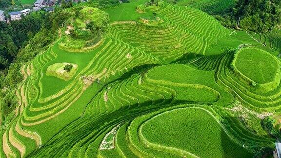 隆基梯田风光