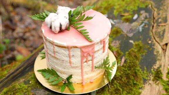 婚礼蛋糕用粉红色的装饰和浅奶油在仪式前放在森林中央的树干上覆盖着黑色的苔藓