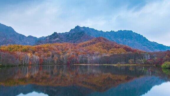 4k时间流逝与倾斜的鹿神池秋天的季节日本长野