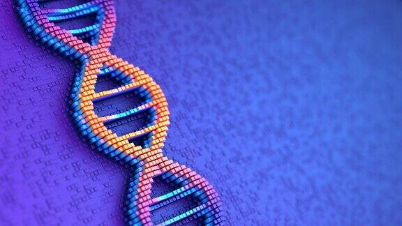 完美无缝的循环运动数字蓝色背景与DNA双螺旋结构核酸序列遗传研究3d演示像素化的效果