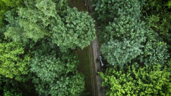 森林中的道路的4K航拍视频视图