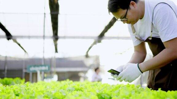 亚洲农场主在农场用智能手机拍照