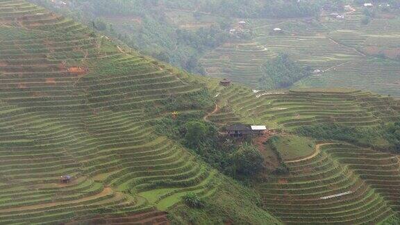 越南北部山区的稻田