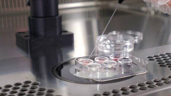 计划生育诊所现代科学实验室胚胎超低温保存生殖学家医生在实验室操作时使用移液管医生从烧瓶中取出生物材料4k